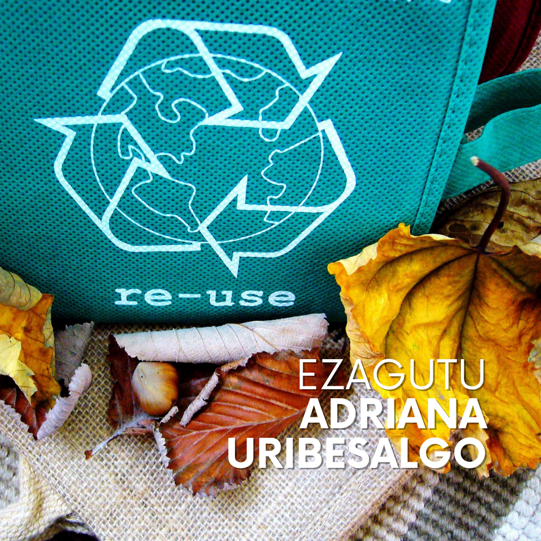 portada con logo de reciclaje impreso en bolsa de tela, hojas de árbol secas y otros